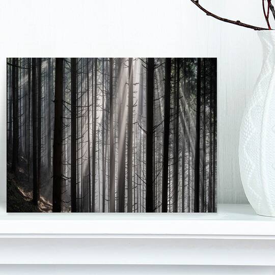 Designart - Sunbeams Peeking Through Dark Forest